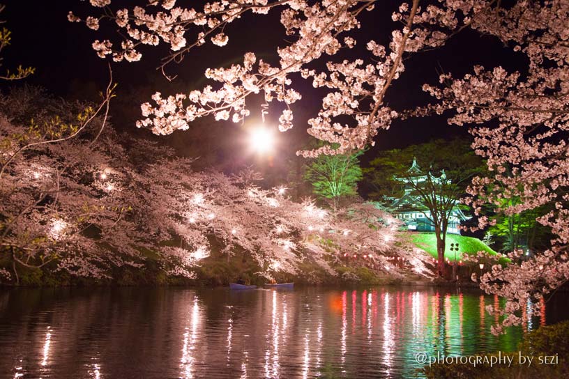 日本三大夜桜の街、新潟、上越市高田公園の夜桜01、