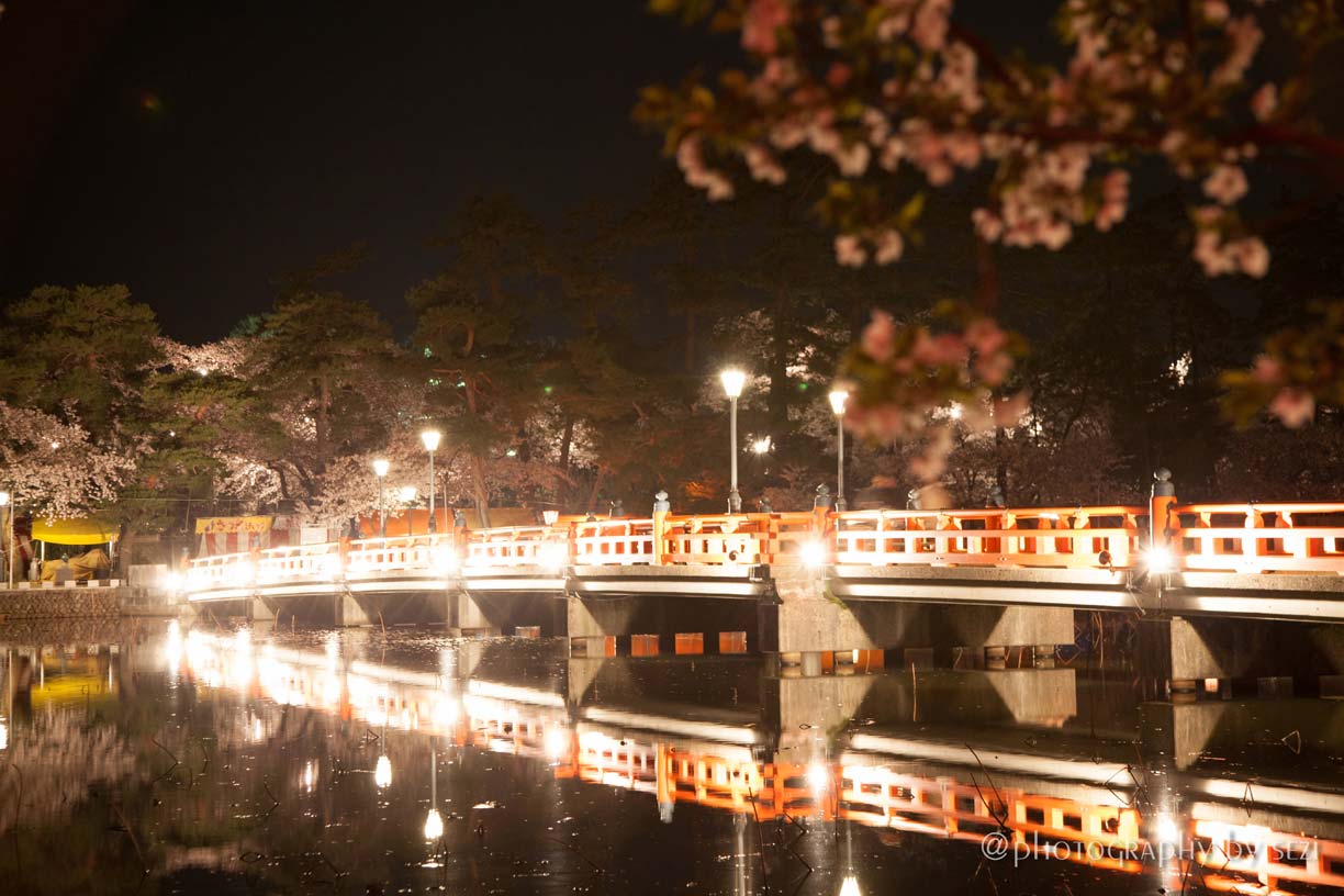 日本三大夜桜の街、新潟、上越市高田公園の夜桜02、
