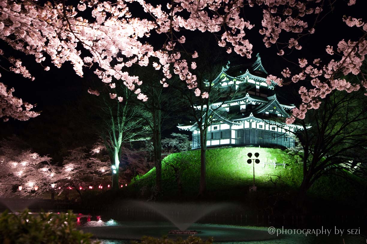 日本三大夜桜の街、新潟、上越市高田公園の夜桜07、