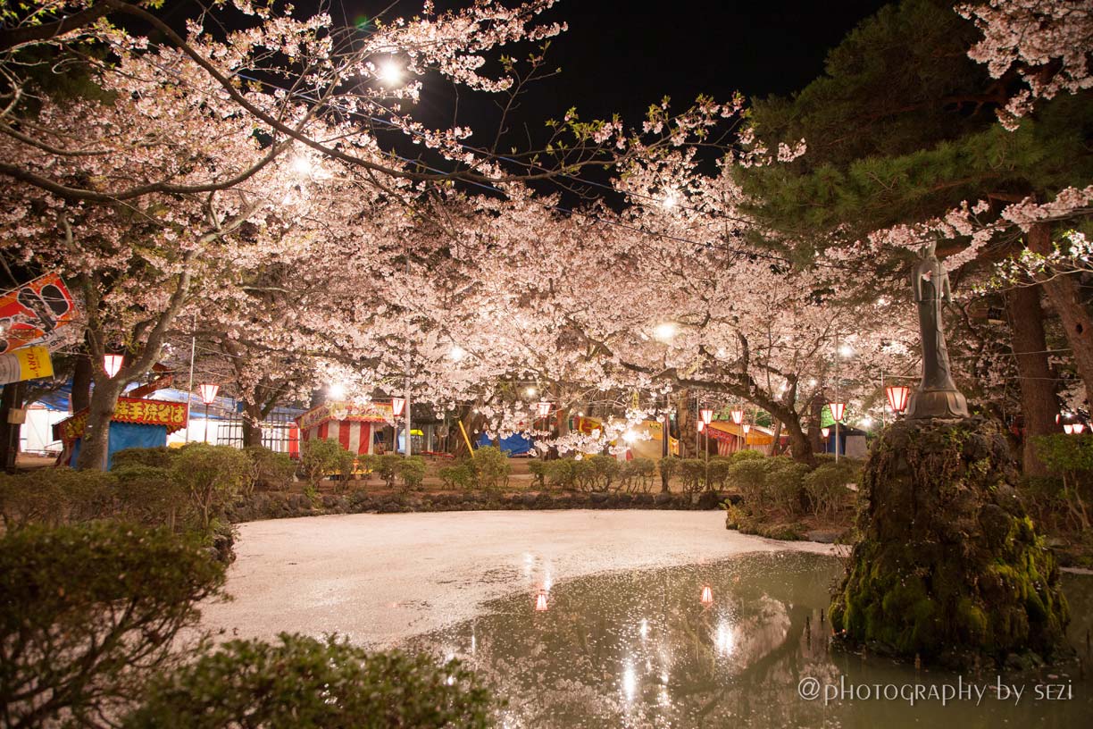 日本三大夜桜の街、新潟、上越市高田公園の夜桜09、